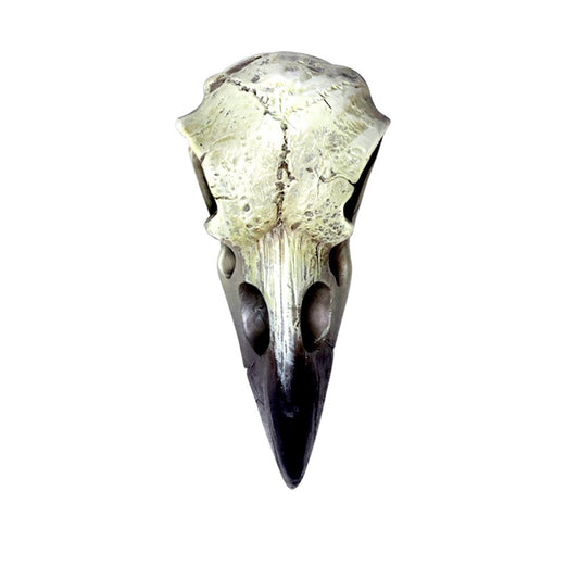Reliquary Raven Skull Talisman Necklace-0